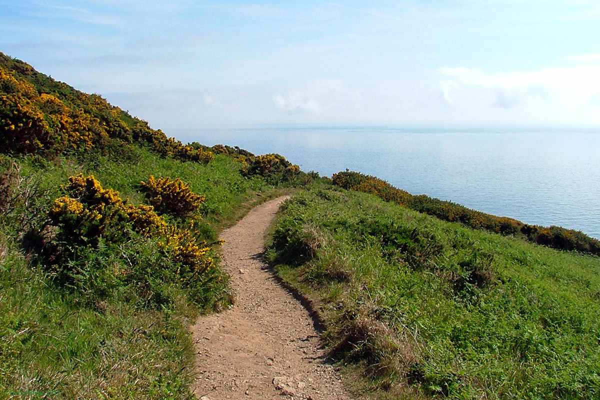Howth Cliff Path Loop